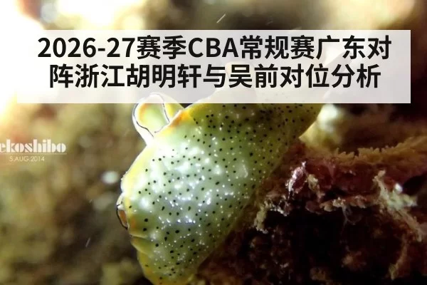 2026-27赛季CBA常规赛广东对阵浙江胡明轩与吴前对位分析